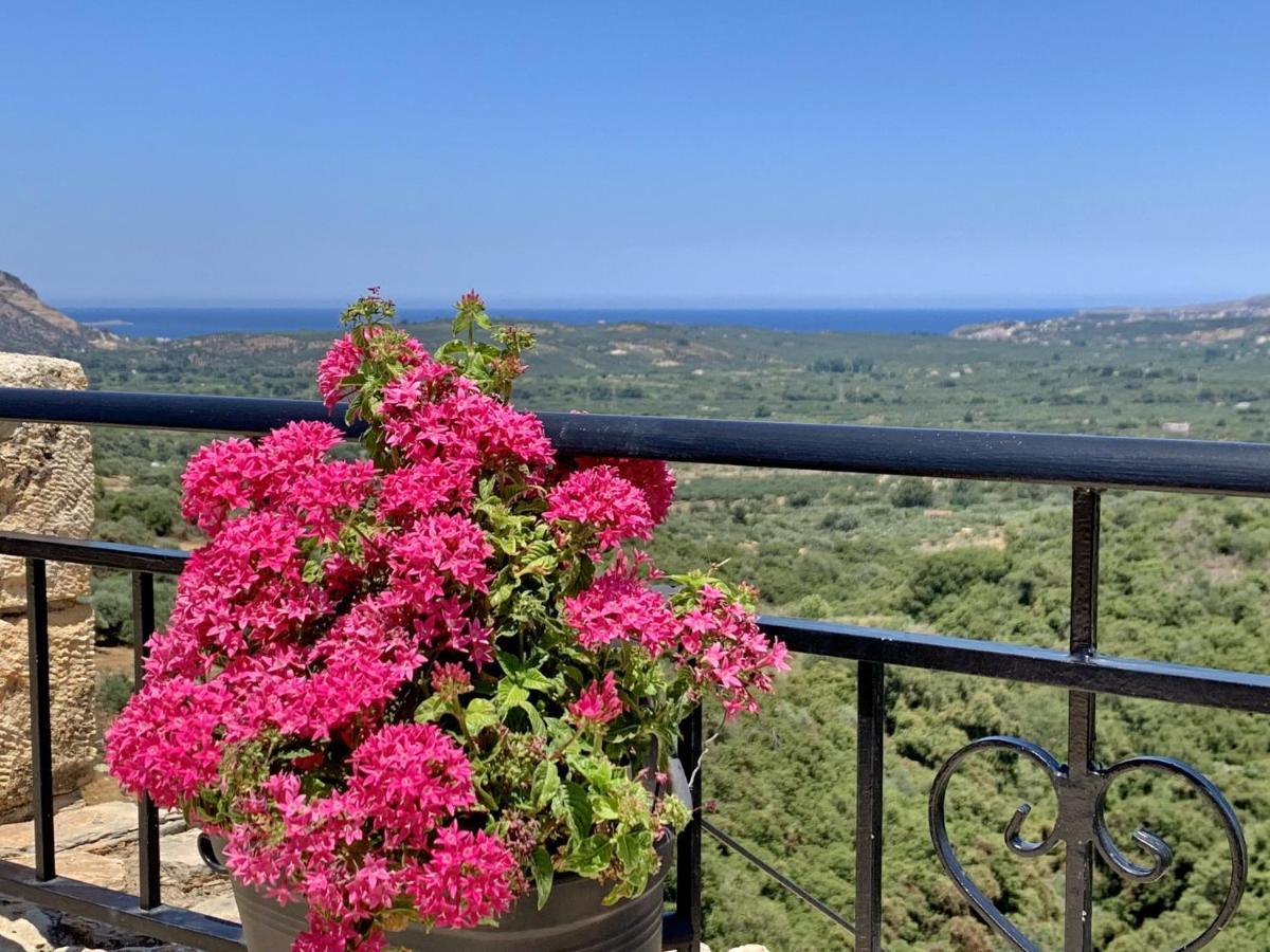 Villa Vangelis Stylos Crete サモナス エクステリア 写真